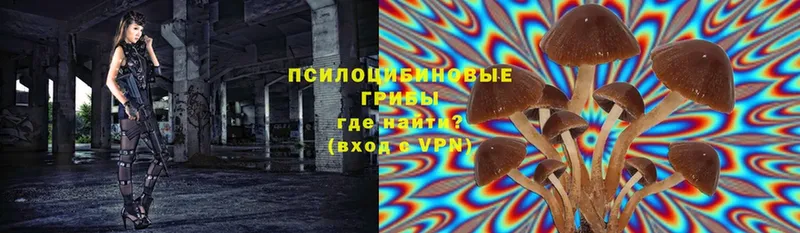 купить наркоту  Наро-Фоминск  мега как войти  Псилоцибиновые грибы прущие грибы 